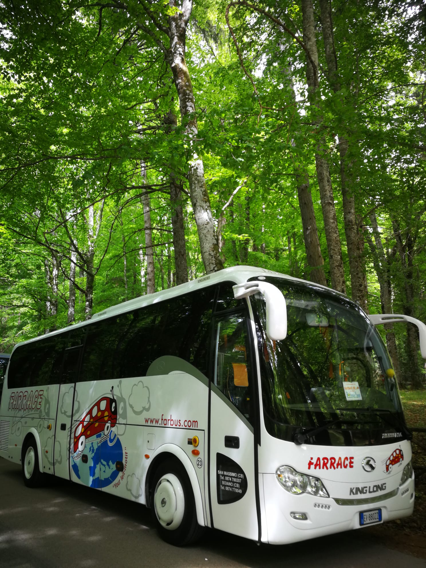 Autolinee